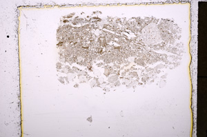 Plane Polarized, E23941