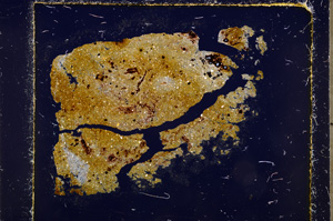 Cross Polarized, E23946