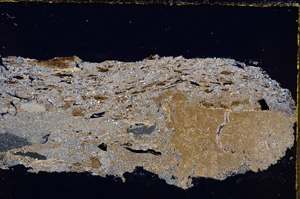 Cross Polarized, E23950