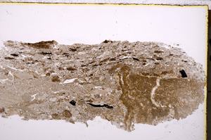 Plane Polarized, E23950