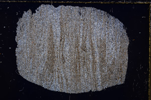 Cross Polarized, E23952