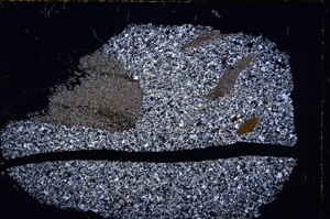 Cross Polarized, E23953