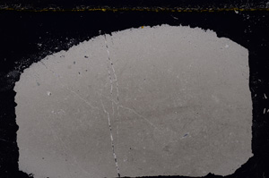 Cross Polarized, E23956