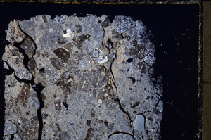 Cross Polarized, E23959