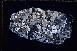 Cross Polarized, E23994