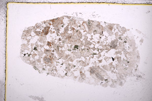 Plane Polarized, E23994