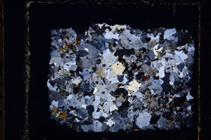 Cross Polarized, E23996