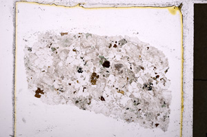 Plane Polarized, E23997