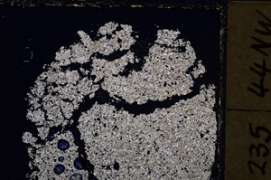 Cross Polarized, E24027