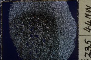 Cross Polarized, E24030