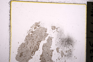 Plane Polarized, E24031