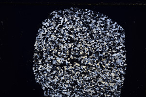 Cross Polarized, E24061