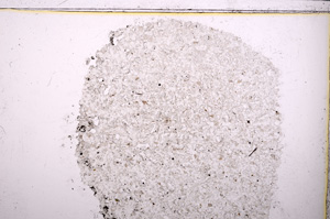 Plane Polarized, E24061