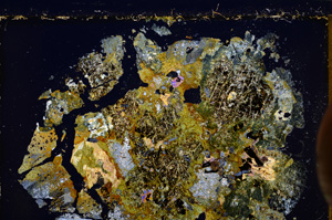 Cross Polarized, E24074