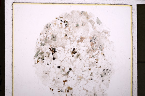 Plane Polarized, E24077