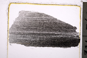 Plane Polarized, E24085