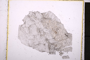 Plane Polarized, E24094