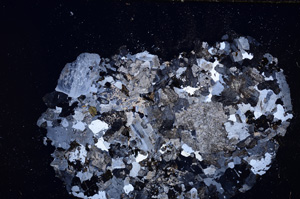 Cross Polarized, E24147