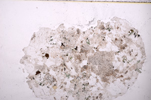 Plane Polarized, E24147