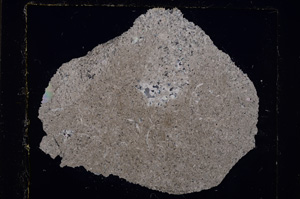 Cross Polarized, E24155