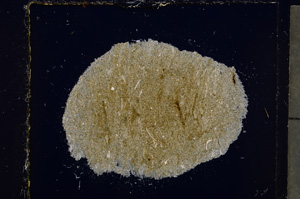 Cross Polarized, E24157