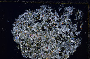 Cross Polarized, E24159