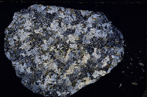 Cross Polarized, E24160