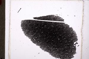 Plane Polarized, E24162