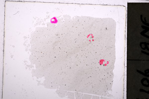 Plane Polarized, E24176