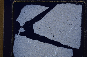 Cross Polarized, E24194