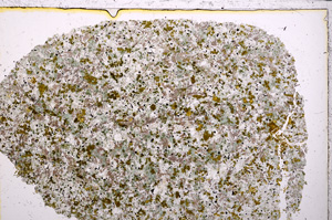 Plane Polarized, E24202