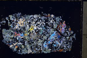 Cross Polarized, E24203