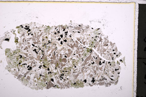 Plane Polarized, E24203