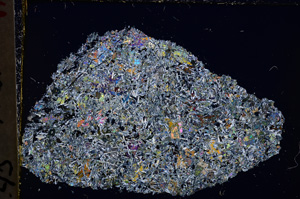 Cross Polarized, E24204