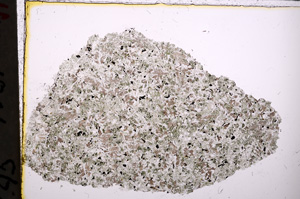 Plane Polarized, E24204