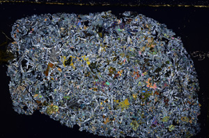 Cross Polarized, E24205