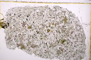 Plane Polarized, E24205