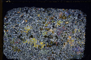 Cross Polarized, E24206