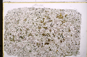 Plane Polarized, E24206