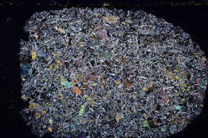 Cross Polarized, E24207