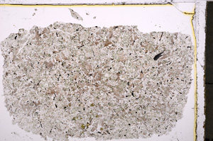 Plane Polarized, E24208