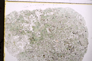 Plane Polarized, E24211