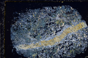 Cross Polarized, E24213