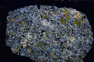 Cross Polarized, E24215