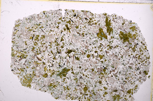 Plane Polarized, E24215