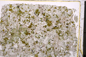 Plane Polarized, E24216