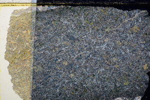 Cross Polarized, E24218