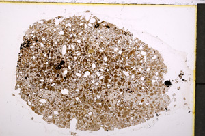 Plane Polarized, E24225