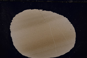 Cross Polarized, E24226