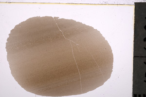 Plane Polarized, E24226